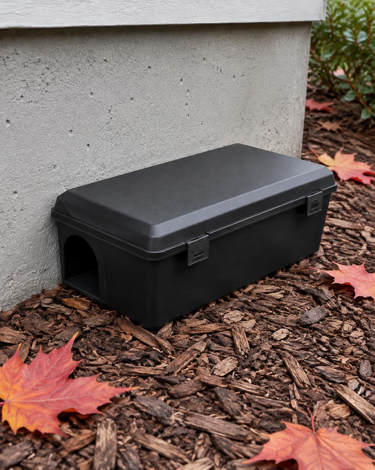 Tamper-resistant bait station beside a home foundation